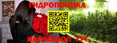 jwh Гусь-Хрустальный