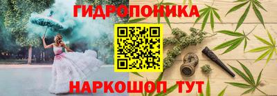 стафф Новозыбков