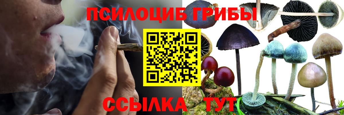 Подольск  где найти   Вход с VPN  Галлюциногенные грибы MAGIC MUSHROOMS 